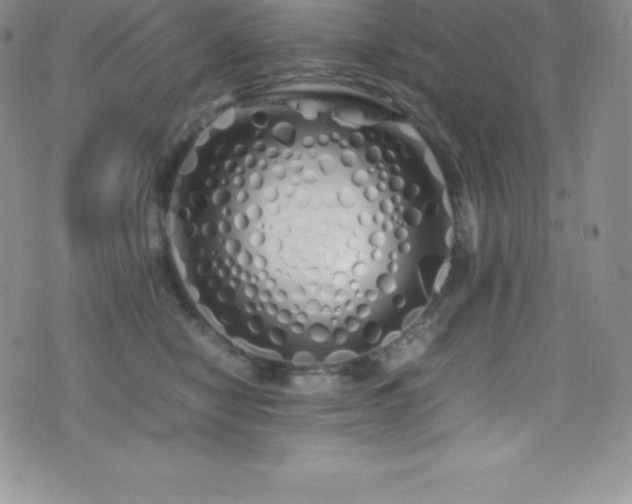 X0000077390470200610201422