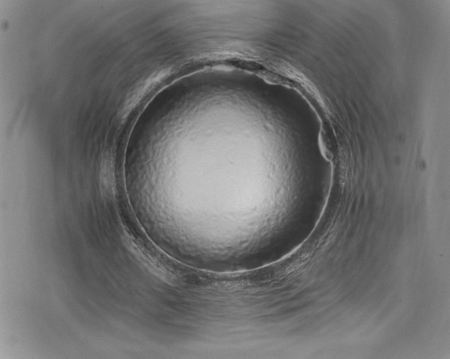 X0000077390482200610201421