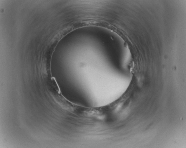 X0000077390512200610201421