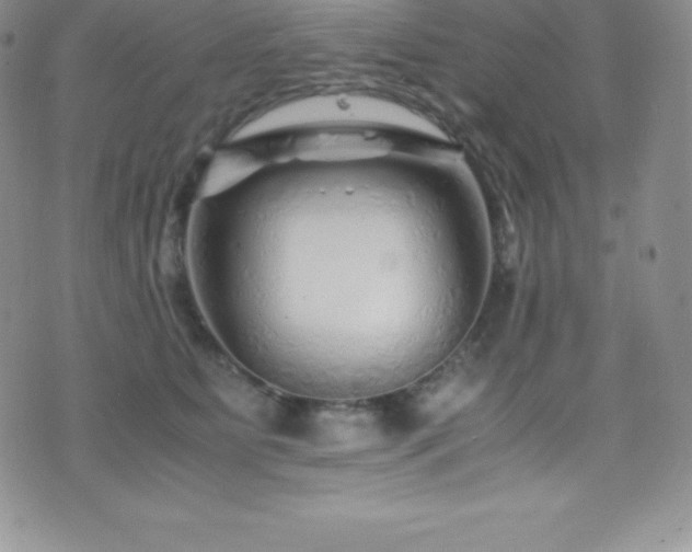 X0000077390515200610201421