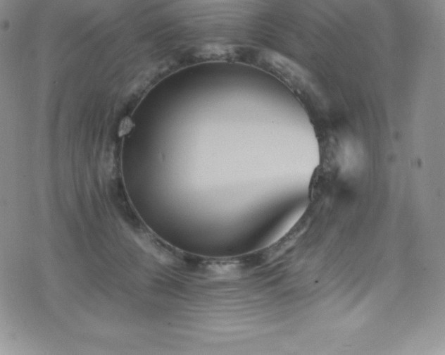 X0000077390560200610201420