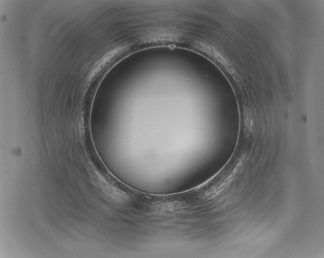 X0000077390629200610201418