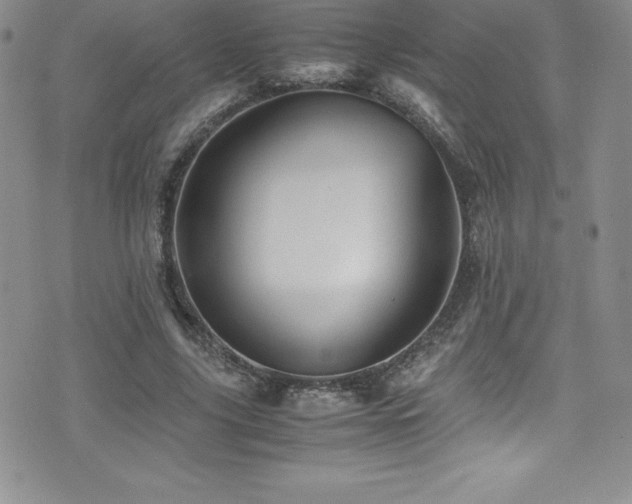 X0000077390635200610201418