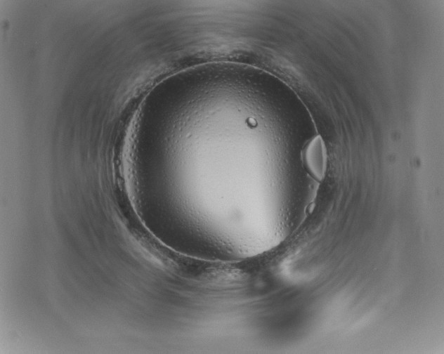 X0000077390642200610201419
