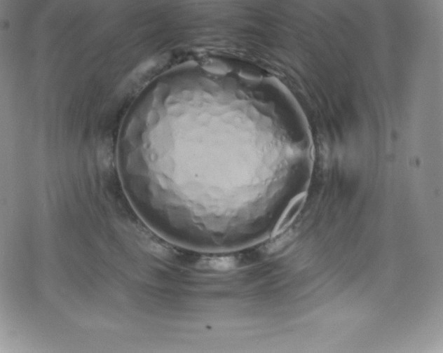 X0000077390665200610201419