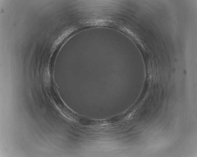 X0000077390674200610201418