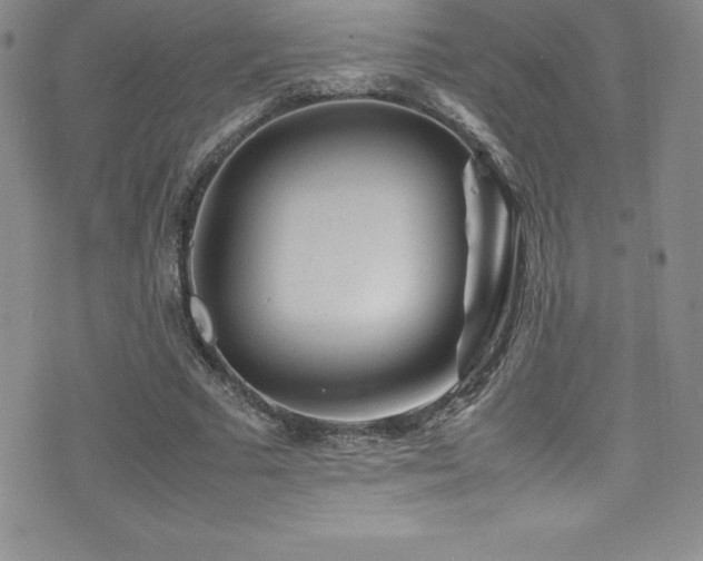 X0000077390681200610201418