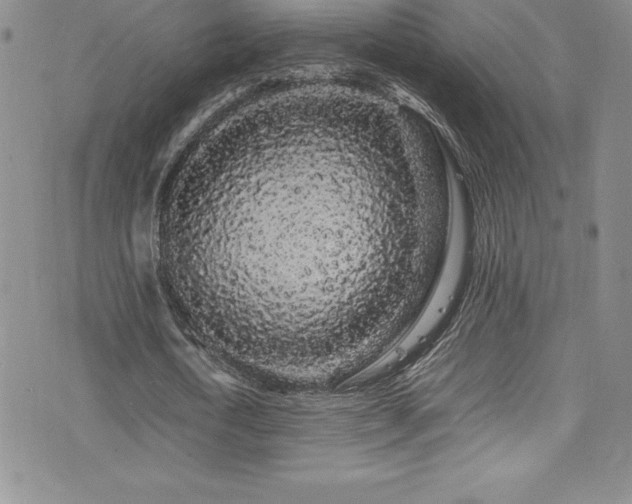 X0000077390722200610201417