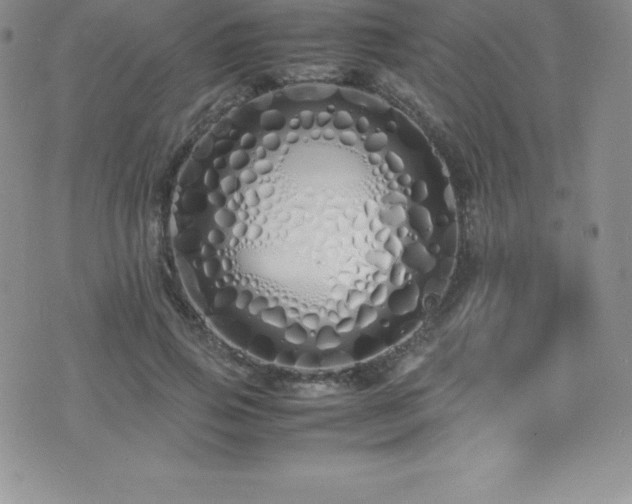 X0000077390741200610201417
