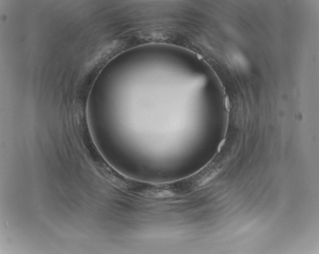 X0000077390747200610201417