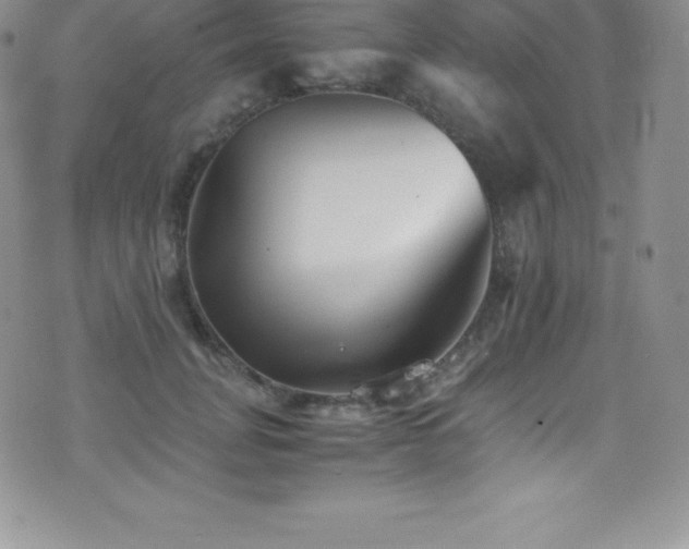 X0000077390751200610201417