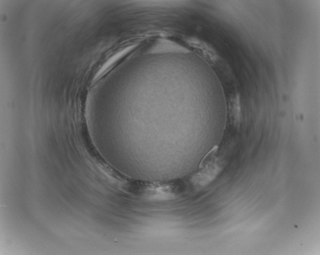 X0000077390760200610201417