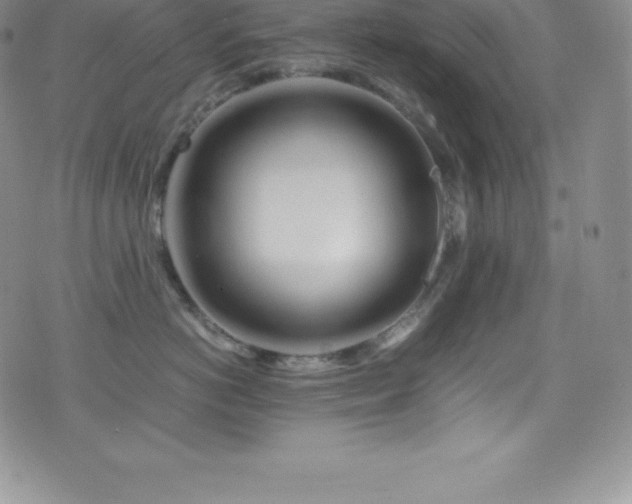X0000077390766200610201418