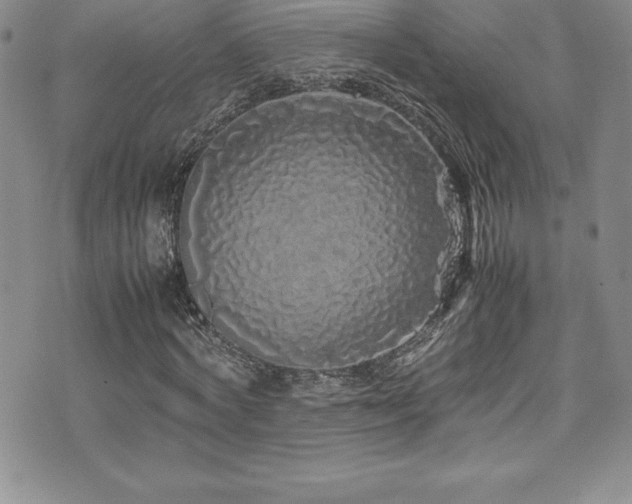 X0000077390772200610201417