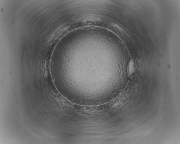 X0000077390774200610201417