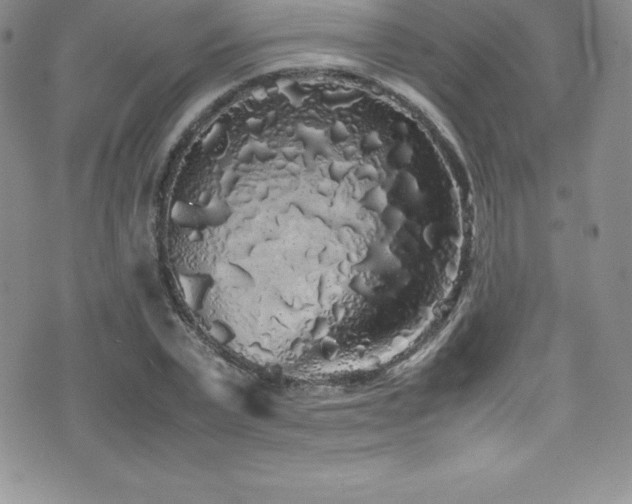 X0000077390783200610201416