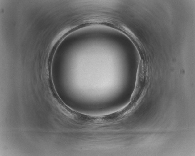 X0000077390787200610201416