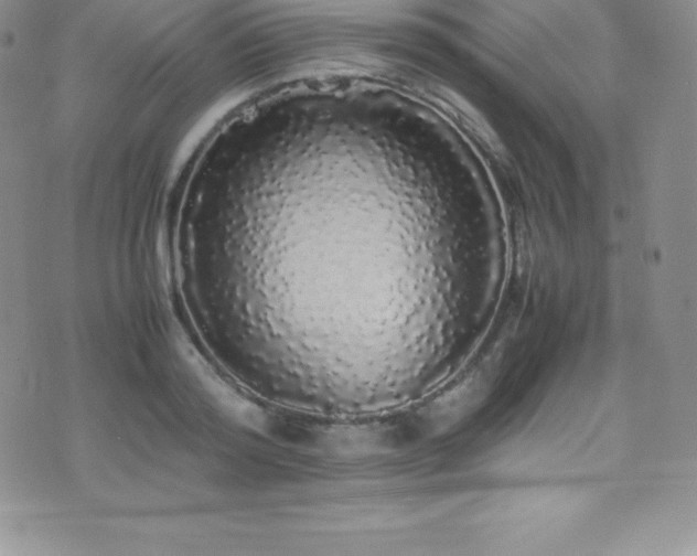 X0000077390796200610201416