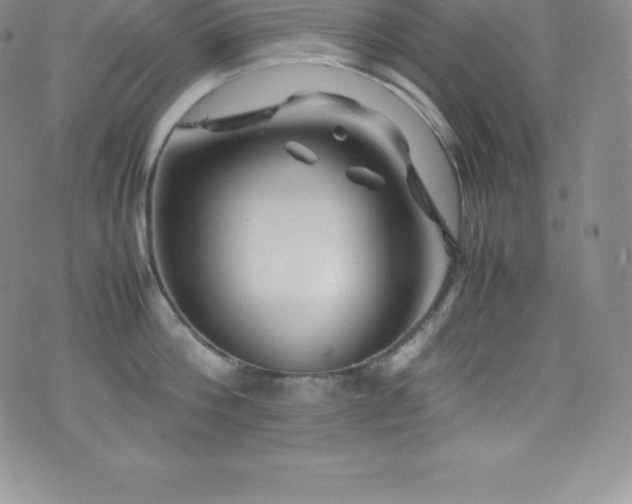 X0000077390812200610201416