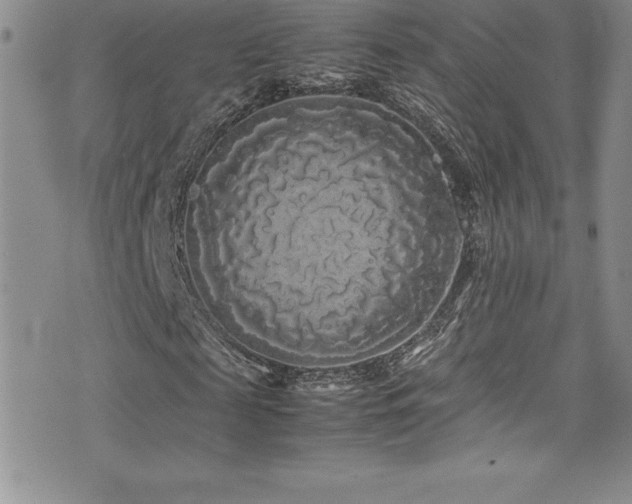 X0000077390817200610201415
