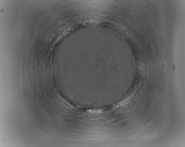 X0000077390818200610201415