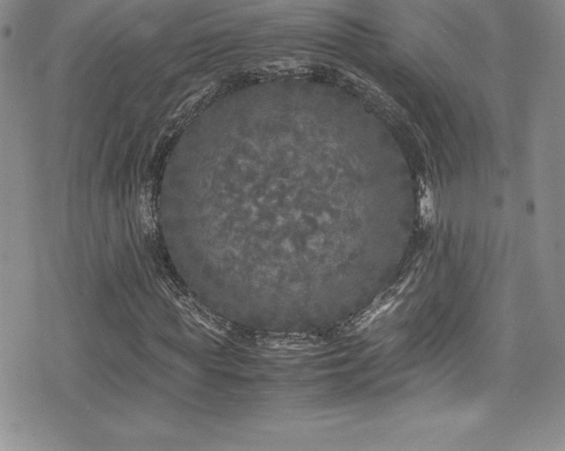 X0000077390819200610201415