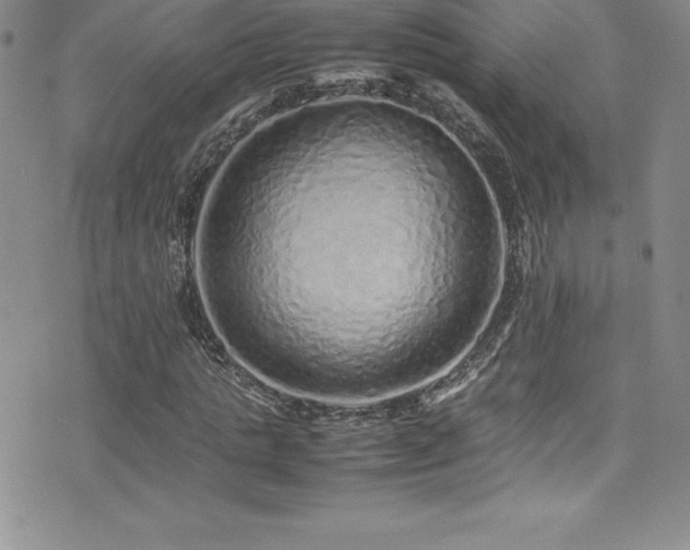 X0000077390821200610201415