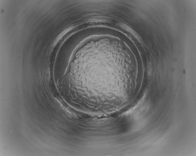 X0000077390829200610201415