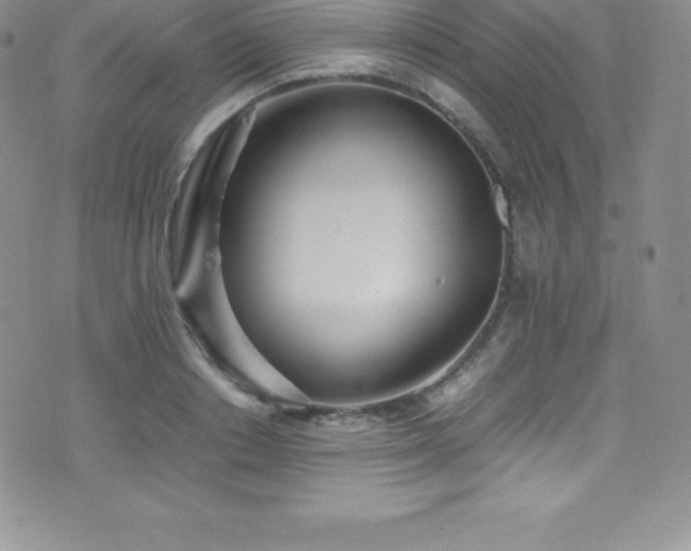 X0000077390842200610201416