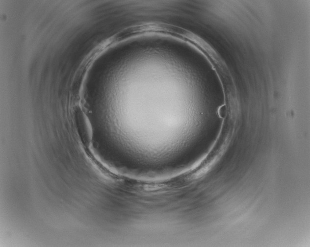 X0000077390857200610201416