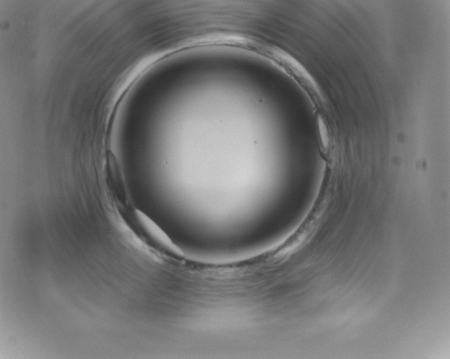 X0000077390860200610201416
