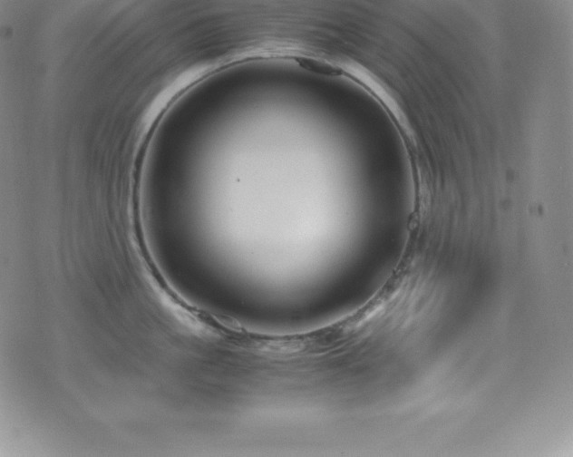 X0000077390861200610201416