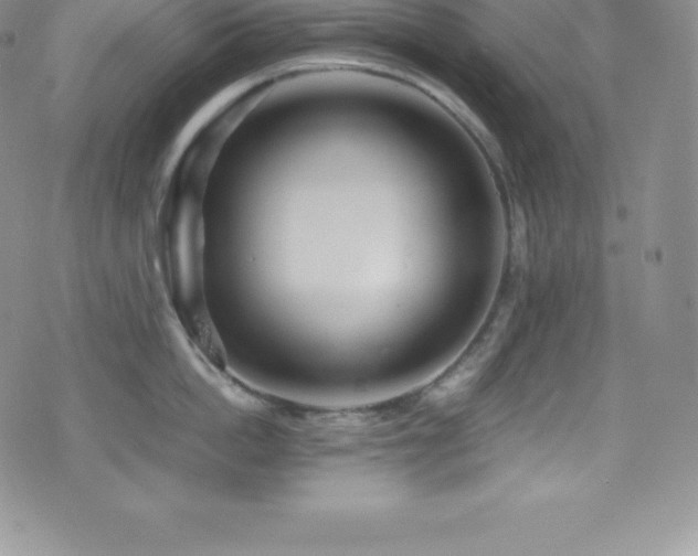 X0000077390862200610201416