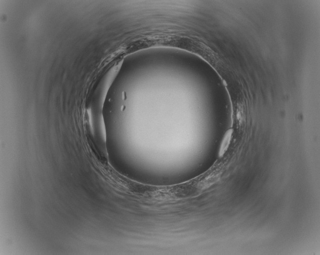 X0000077390867200610201415