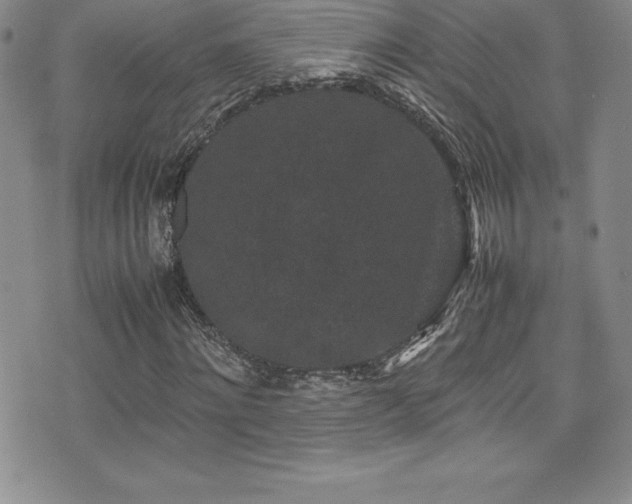 X0000077390868200610201415