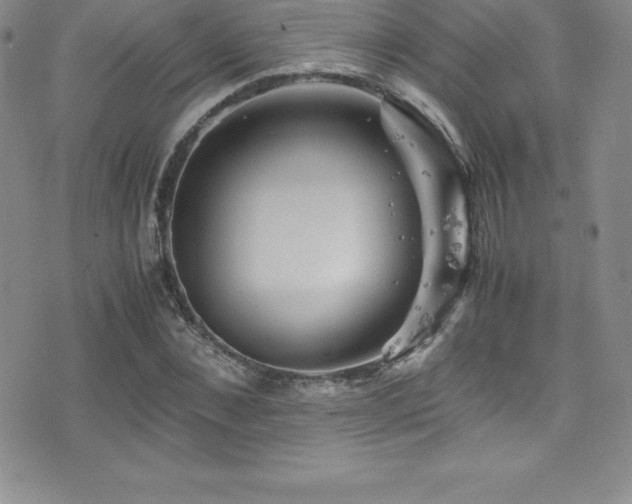 X0000077390876200610201415