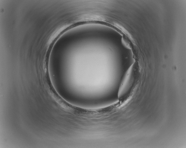 X0000077390885200610201415