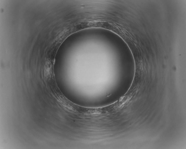X0000077390914200610201414