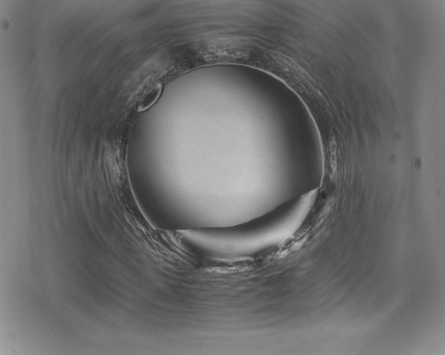 X0000077390915200610201414