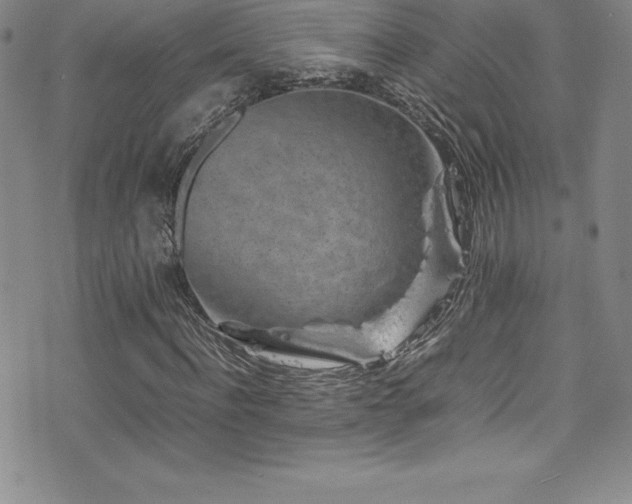 X0000077390916200610201414