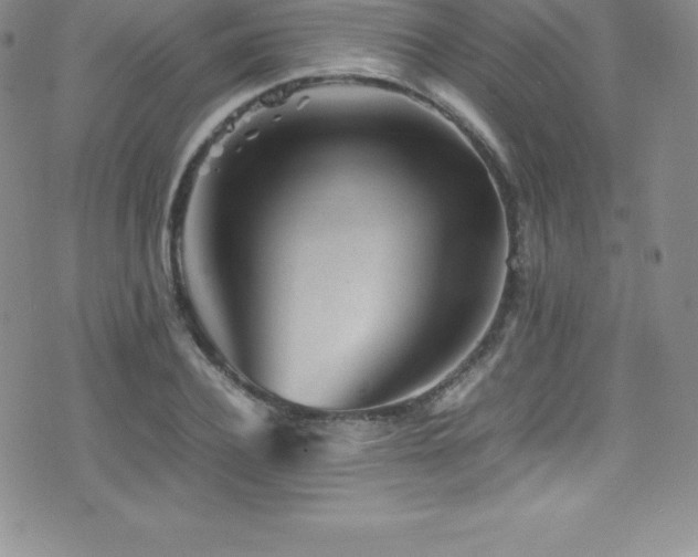 X0000077390932200610201414