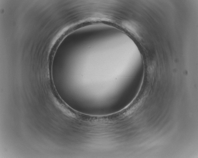 X0000077390934200610201414