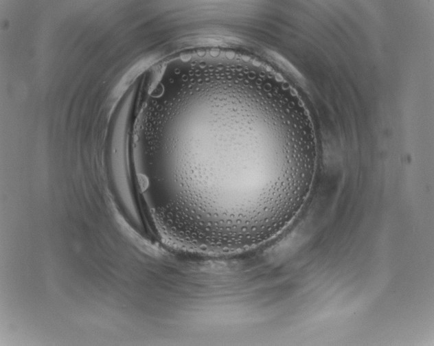X0000077390938200610201414