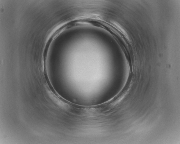 X0000077390940200610201414