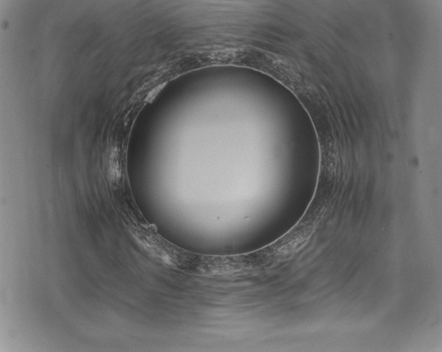 X0000077390962200610201414