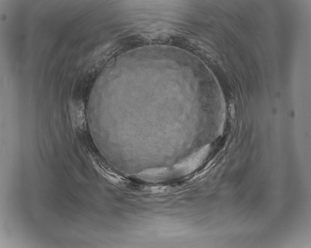 X0000077390963200610201413