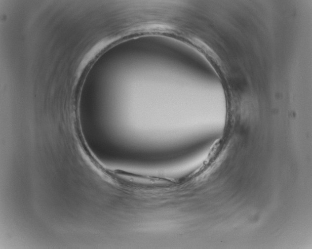 X0000077390989200610201413