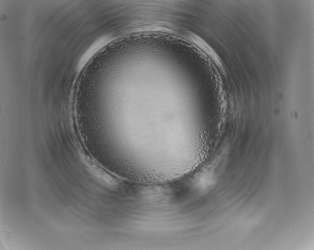 X0000077391002200610201413