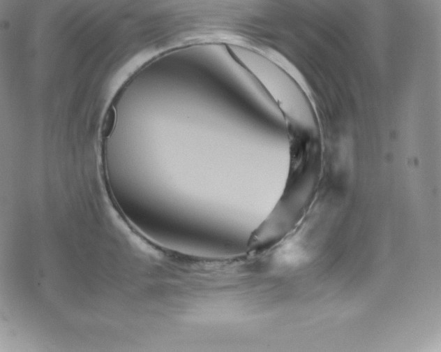 X0000077391005200610201413
