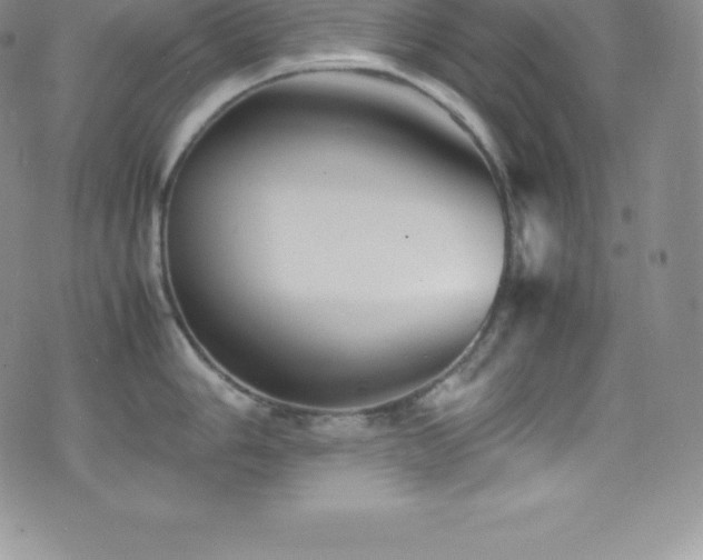 X0000077391006200610201413